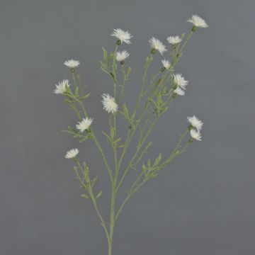 Aciano artificial ZENOBIOS, crema, 80cm