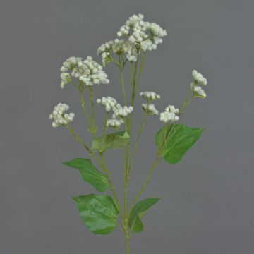 Eupatorium artificial KORALIA, crema, 80cm