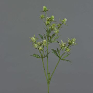 Cardo artificial KALYPSO, verde, 65cm