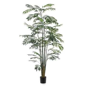 Palmera decorativa de bambú MERIEL, 245cm
