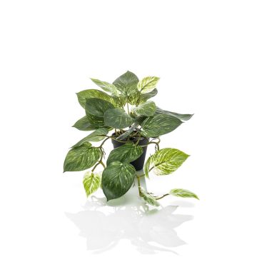 Vid plateada artificial TREVA, verde-blanco, 55cm Vid plateada artificial TREVA, verde-blanco, 55cm