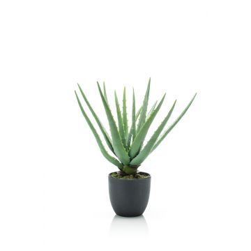 Aloe Vera artificial EVELIO en maceta decorativa, 35cm