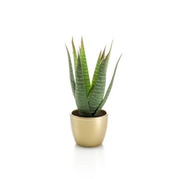 Aloe Variegata artificial MARTINEZ, maceta de cerámica dorada, verde, 25cm, Ø17cm