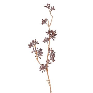 Rama artificial de eucalipto SOHA con frutos, marrón, 60cm