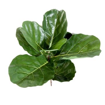 Ficus Lyrata artificial ATIKA en varilla de ajuste, verde, 60cm