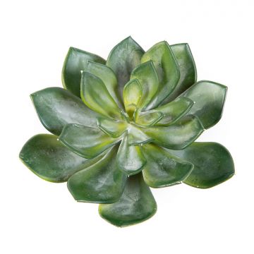 Echeveria pelusida artificial CURSA en varilla de ajuste, verde, 15cm