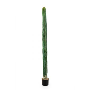Cactus columna artificial ELKURUD, verde-rojo, 180cm