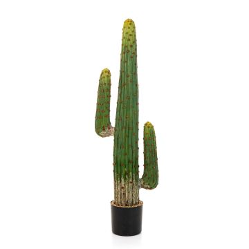 Cactus columna artificial GOMEISA, verde-rojo, 125cm