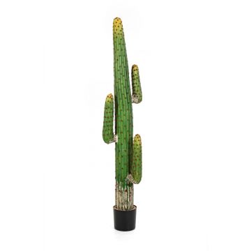 Cactus columna artificial GOMEISA, verde-rojo, 170cm