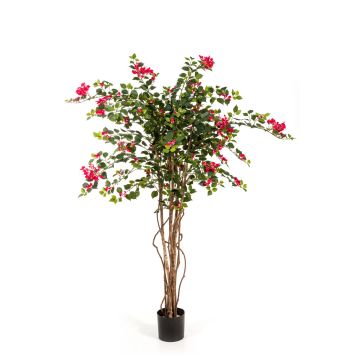 Bougainvillea artificial OGMA, troncos naturales, flores, rosa, 150cm