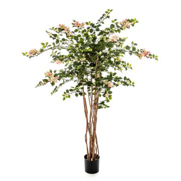 Bougainvillea artificial OGMA, troncos naturales, flores, amarillo-rosa, 150cm
