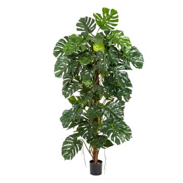 Filodendro Monstera Deliciosa artificial MEBSUTA, 190cm