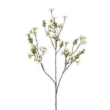Leptospermum artificial TULANI, crema, 85cm