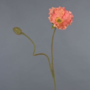 Amapola artificial HASNA, melocotón, 75cm
