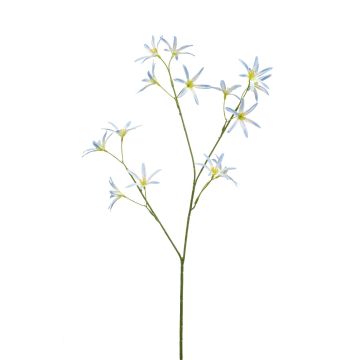 Flor artificial Tweedia solanoides MONGAI, azul claro, 70cm