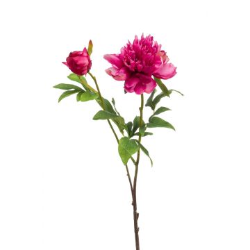 Peonía artificial BADIS, rosa, 75cm