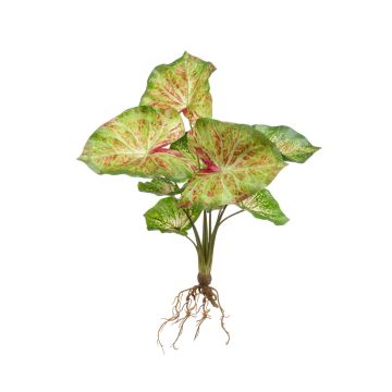 Syngonium Podophyllum de plástico AKAYU, con varilla, raíces, verde-rojo, 40cm