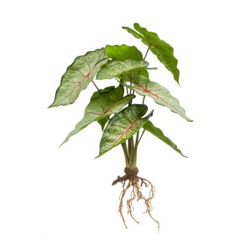 Caladium artificial USAGI, varilla, raíces, verde-rojo, 35cm