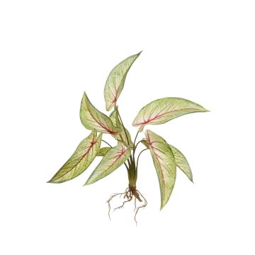 Calathea Ornata artificial ASAGI, con varilla, raíces, verde-rojo, 40cm