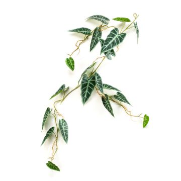 Guirnalda decorativa de Alocasia Sanderiana SEISHIN, verde-blanco, 110cm