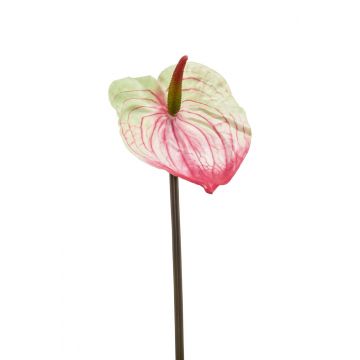 Flor de Anthurium de plástico YUSEI, rosa-verde, 65cm