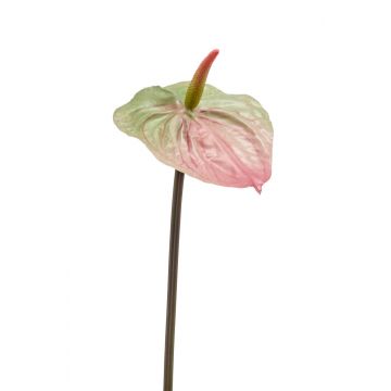 Flor de Anthurium de plásticoYUSEI, verde-rosa, 65cm