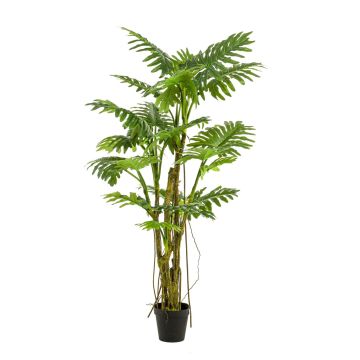 Filodendro artificial Selloum EDHEM, 195cm