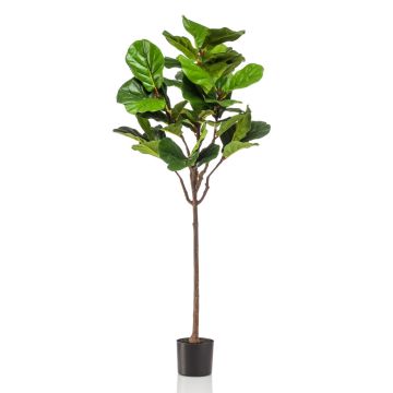 Ficus Lyrata artificial ABIULA, tronco real, verde, 155cm