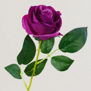 Rosa textil SEENSA, morado oscuro, 55cm, Ø7cm