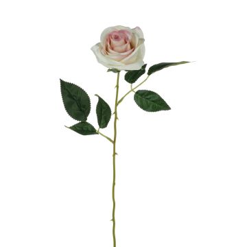 Rosa textil SEENSA, crema-rosa, 55cm, Ø7cm