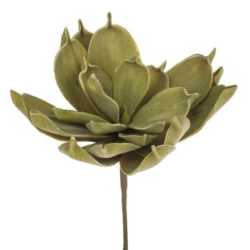 Aloe vera artificial LIERA, verde oliva, 30cm
