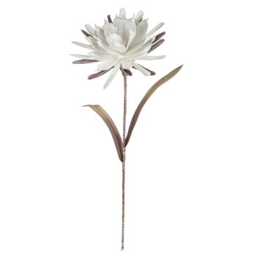 Flor artificial de cactus reina de la noche MOADI, blanco-rosa palo, 90cm