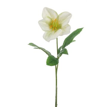 Rosa de Navidad artificial GARONA, blanco-verde, 30cm
