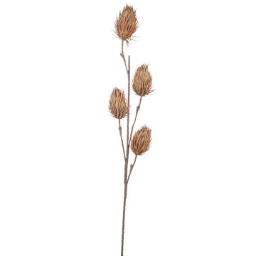 Cardo artificial MISAEL, marrón claro, 120cm
