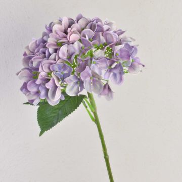 Hortensia textil RELENA, púrpura claro, 65cm