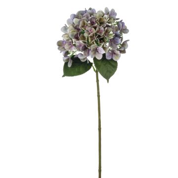 Hortensia textil RELENA, verde-violeta, 65cm