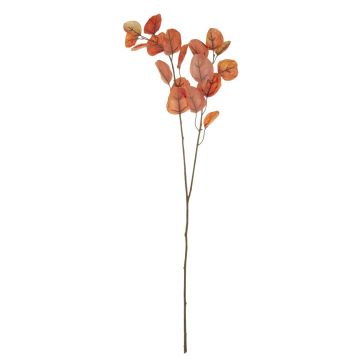 Rama de eucalipto artificial SOPONG, rojo-naranja, 80cm