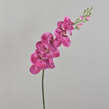 Rama de orquídea Phalaenopsis artificial AMARNE, rosa, 90cm