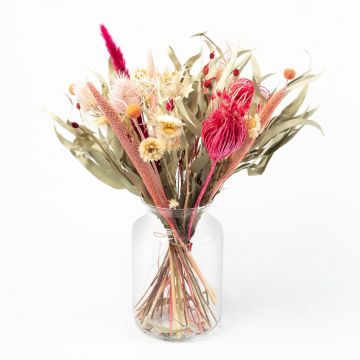 Ramo de flores secas MARUKA con panículas, rosa-fucsia, 45cm, Ø20cm