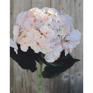 Hortensia artificial ANGELINA, rosa palo, 70cm, 23cm