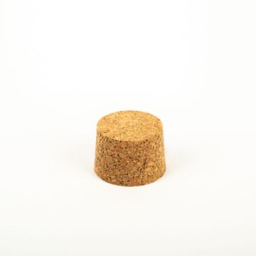 Corcho cónico SERILDA de corcho prensado, natural, 2,5cm, Ø3,4/3,8cm