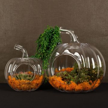 No rompas esa calabaza