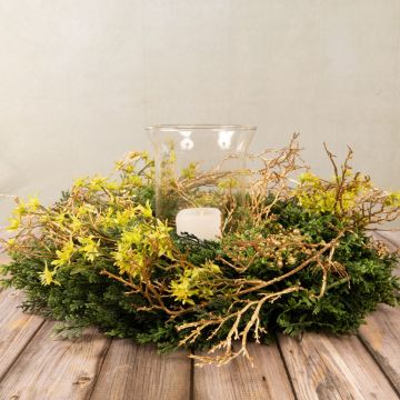 Adviento Celestial Parte 3