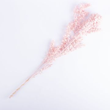 Rama de rusco seco SIMONETTA, rosa, 70cm