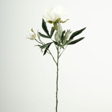 Rama de flores artificiales GALENE, colección Eco, blanco-lila, 65 cm, Ø 10 cm