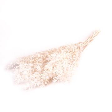 Ramo seco de espino cerval FRIGGA, blanqueado, tratado, elástico, blanco, 70-75 cm, Ø 17 cm