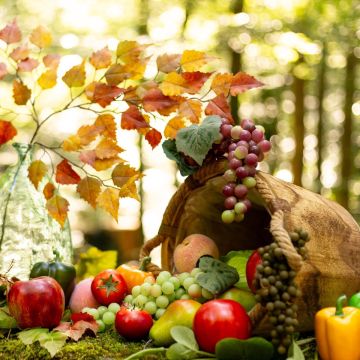 Acción de Gracias - Los frutos de la tierra
