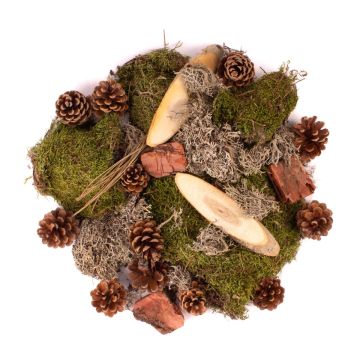 Decoración para esparcir QUIKISA de musgo, piñas, madera, líquenes, verde-marrón, 500 g