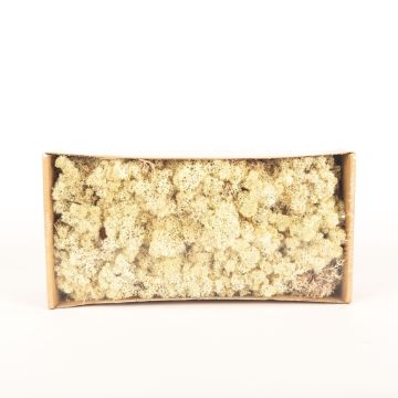 Trozos de musgo de Islandia auténtico SVEINBJÖRN, marrón, 500g Trozos de musgo de Islandia auténtico SVEINBJÖRN, marrón, 500g