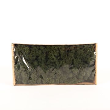 Auténtico musgo islandés SVEINBJÖRN, verde abeto, 500g